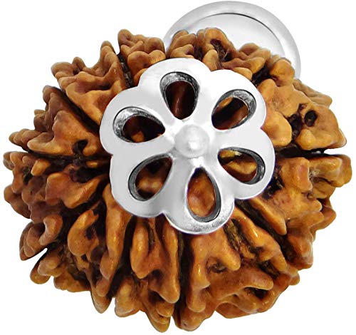 Resistente 13 Mukhi de aleación 55Carat con trece caras 3