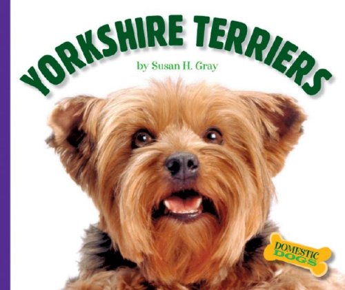 Buy Yorkshire Terriers (Domestic Dogs) — BookShops.in