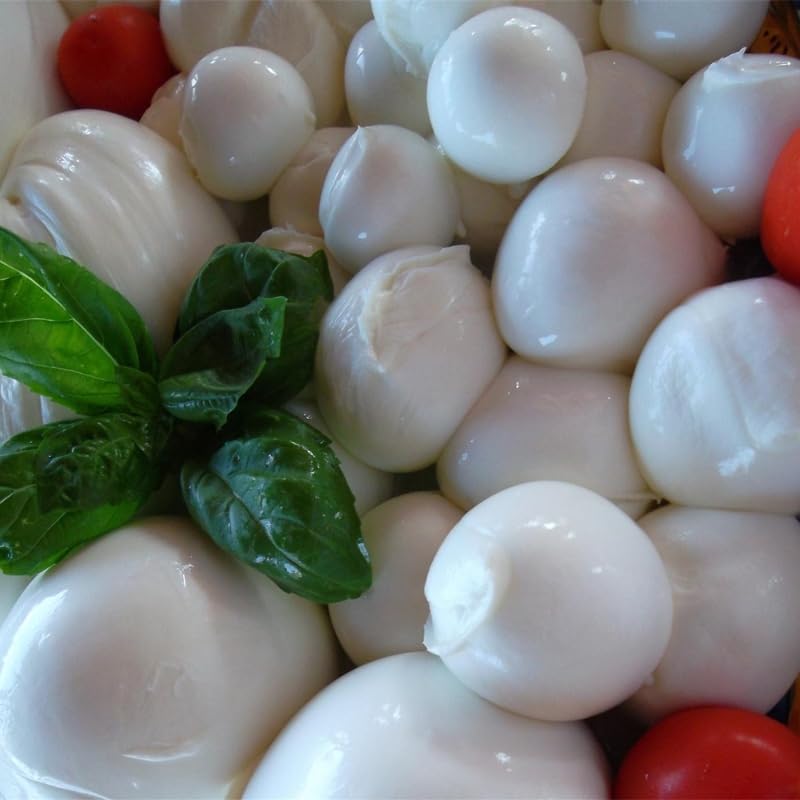 Bocconcini da 30 g di Mozzarella di Bufala Campana 1 kg totali