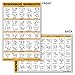 Palace Learning QUICKFIT Suspension Workout Exercise Poster - (Laminated, 18