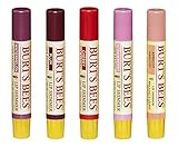 Burt's Bees 100% Natural Moisturizing Lip Shimmers Fruity Bundle - Watermelon, Plum, Cherry, Strawberry, and Apricot