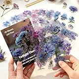 Twilight Florals Transparent Flower Sticker Book, 20 Sheets 187 PCS All Unique Blue & Purple Floral Stickers, Aesthetic Stickers for Scrapbook Supplies Junk Journal self Care Mental Health Journal