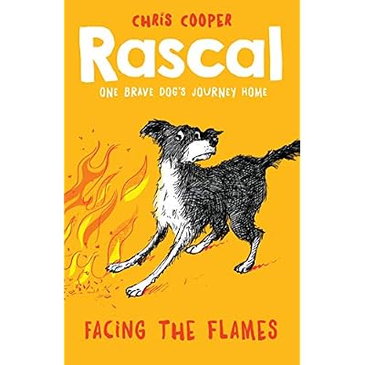 Rascal: Facing the Flames: 4