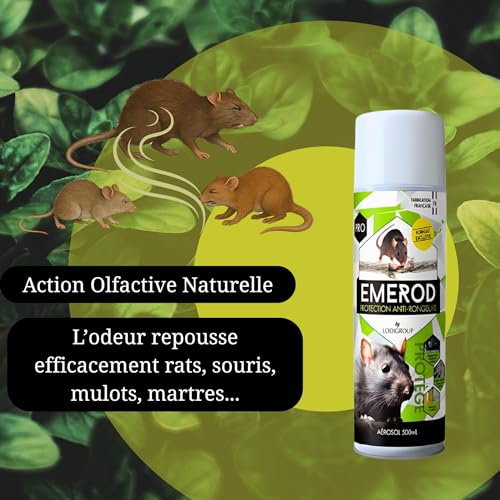 Vignette produit