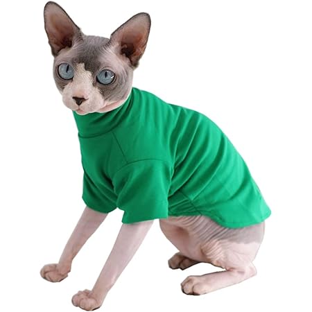 shirts for kittens