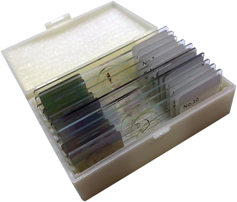 10-Set Prepared Parasitology Microscope Slides for Medical Education