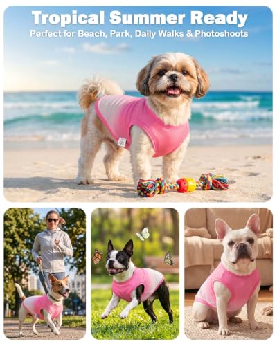 Image of CuteBone Ombre Dog Tank Top for Small Dogs, Cats - Tropical Summer Pet Vest - Breathable Ice Silk Cooling Shirt - Sun Protection, Photo, Casual Play, Walks