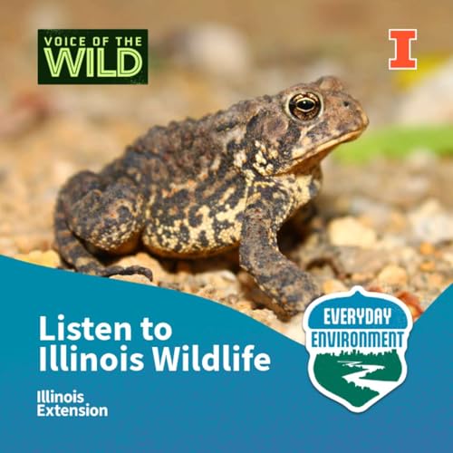 Get to know your neighbors: listening to Illinois wildlife with Brodie Dunn
