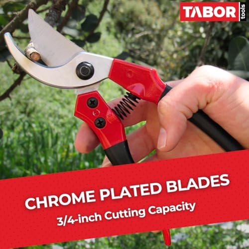 Tijeras de podar TABOR TOOLS S821A con hojas cromadas 3/4 pulg miniatura 2