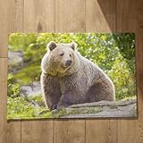 🔶CHERS CLIENTS, VEUILLEZ NOTER : Comme le tapis de sol est envoyé plié, le motif du tapis peut sembler plissé. Mais ne vous inquiétez pas, après avoir déplié et aplati le tapis de sol pendant quelques heures, le motif lisse et beau sera restauré. Séchez ou repassez les zones ridées du tapis à l'aide d'un sèche-cheveux ou d'un fer à repasser chaud et le tapis retrouvera sa forme initiale.