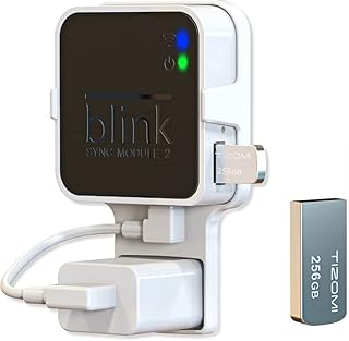 256GB Blink USB Flash Drive for Local Video Storage with The Blink Sync Module 2 Mount (Blink Add-On Sync Module 2 Itself is NOT Included)