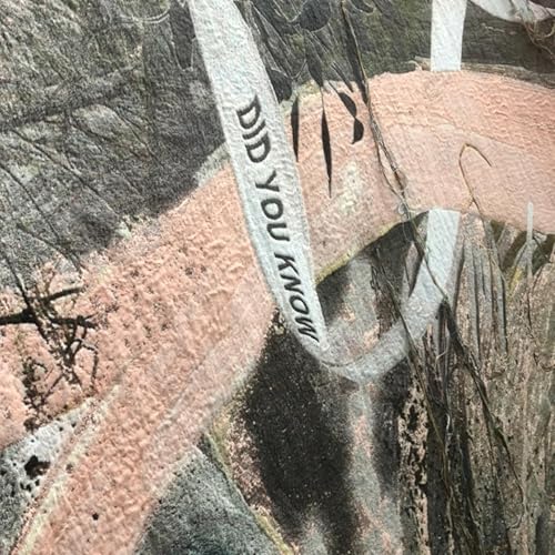 2024-Laure Prouvost : In the mist of it all. Above frontiers. copertina