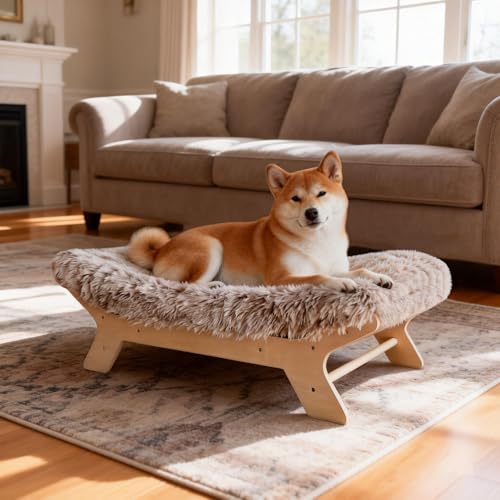 HEAVE SPROUT Medium Size Elevated Dog Bed with Washable Cover,