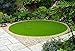 GL Artificial Grass Mat Round Shape, Realistic Synthetic Grass Indoor Outdoor Rug, Garden Lawn Landscape for Pets,Fake Faux Grass Rug with Drainage Holes, Diameter 3 FT