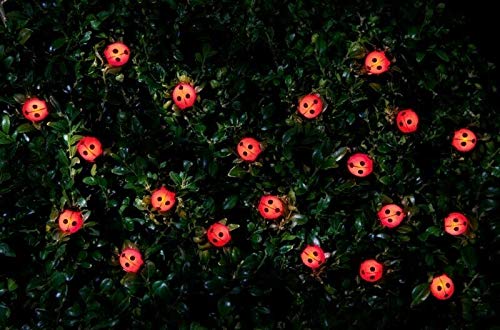 Garden Solar Power Insect Ladybird Bumble Bee 30 Led String Lights Fairy Party (Ladybird)