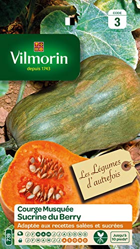 Vilmorin - Courge sucrine du Berry -Adaptée aux recettes salées et sucrées - variété coureuse - rendement Jusqu'à 10 pieds Cover