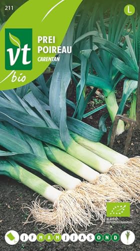 Semillas de puerro Carentan - Muchas cualidades nutricionales y culinarias