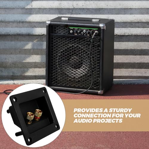 Terminal de altavoz con caja de conexiones de audio de vías para un sonido sin ruidos 3
