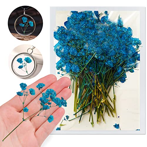 Flores Secas Azules Babysbreath para Resina, 42PCS miniatura 1