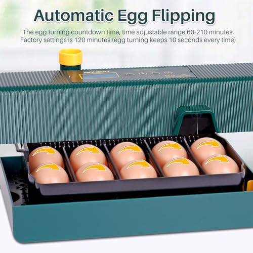10-20 uova incubatore, incubatori per uova da cova, paletta automatica con regolazione della temperatura Uova-mandler incubatori intelligenti di pollo per pollame schiudere pollo quaglia - immagine 8