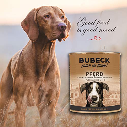 Nassfutter für Hunde | getreidefrei von Bubeck | Verschiedene Sorten (Pferd, 800g)