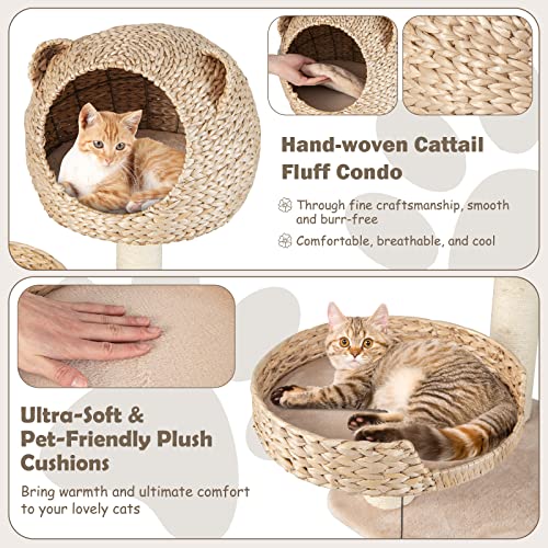 Centro de actividades para gatos de madera de 48 pulgadas miniatura 4