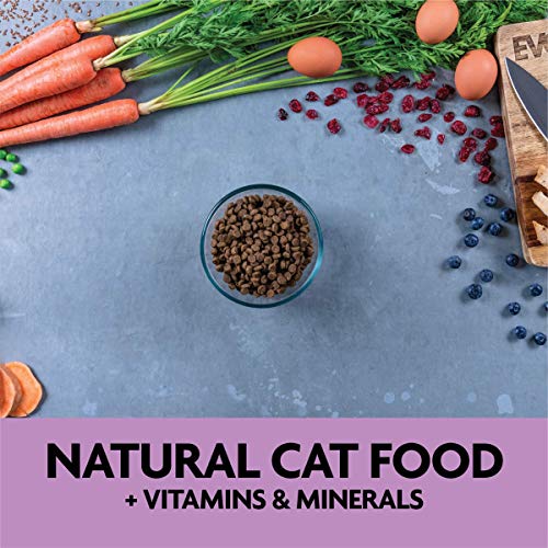 Evolve Grain Free Chicken, Pea And Sweet Potato Recipe For Kittens, 2.75Lb #TOP7