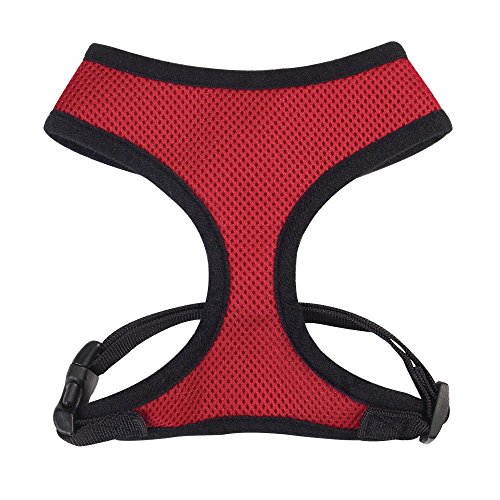 Casual Canine Mesh Dog Harness, Large, Red