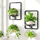 LASZOLA 2 Pcs Black Wall Mount Plant Shelves with Hangers for Indoor Flower, Heavy Duty Metal Window Floating Planter Holders Stand, Modern Iron Picture Frame with Hook Decorative for Kitchen Bathroom