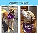 4 Pack Adopt Me Dog Bandana