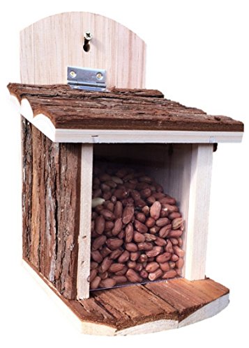 Futterstationen für Eichhörnchen - Die besten Produkte günstig online