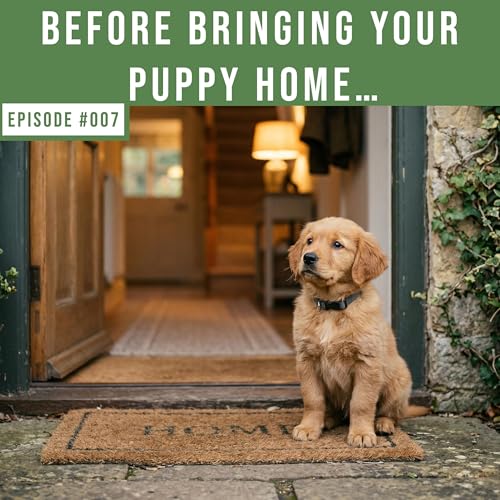 The Puppy Introduction Blueprint: How to Get It Right From Day One