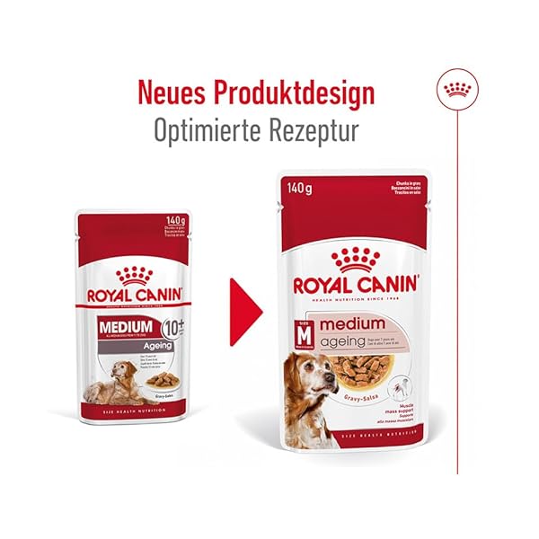 Royal Canin Medium Ageing 10+ | 10 x 140 g | Nassfutter für mittelgroße Hunde (11 bis 25 kg) | Ab dem 10. Lebensjahr | Zur Unterstützung des gesunden Alterns – Bild 7