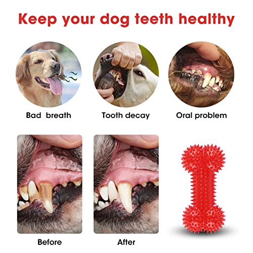 3-Pack Squeaky Bone Dog Toys, Rubber Tpr Bouncy Ball, Dog Chew Toys For Boredom, Teeth Cleaning For Medium And Large Dogs #TOP4