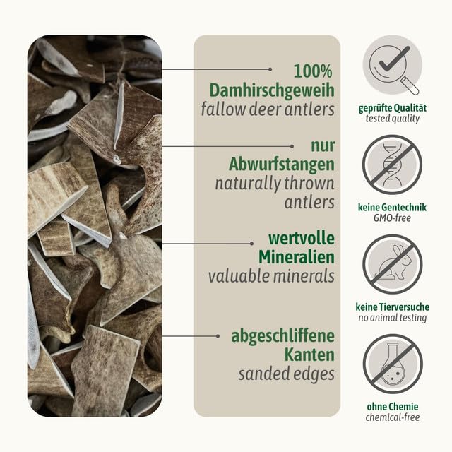 ChronoBalance® L Damwild Hirschgeweih für Hunde Kauspielzeug: 100% Hirschgeweih echt Hundespielzeug zur Zahnpflege, Hunde Kauartikel, Kausnack Hund mit Mineralstoffen & Nährstoffen, L (1er Set)