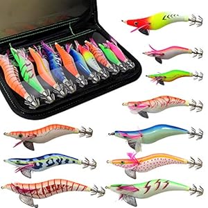 Croch 10 Pièces Lumineuse Turlutte Leurre pour la Pêche des Pieuvre,Seiches et Calamar