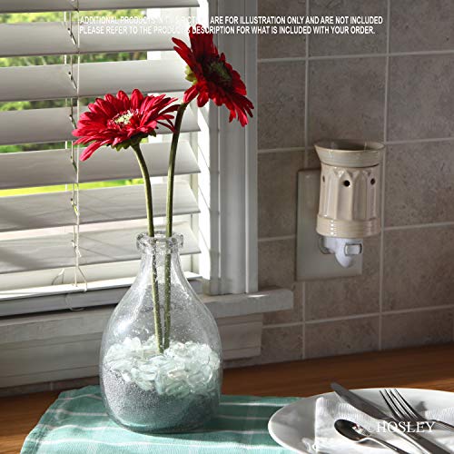 Hosley Set Of 2 Clear Glass Bottle Vases 7'' High. Ideal Floral Vase Gift For Wedding Special Occasion Home Office Dried Floral Arrangements O5… #TOP1