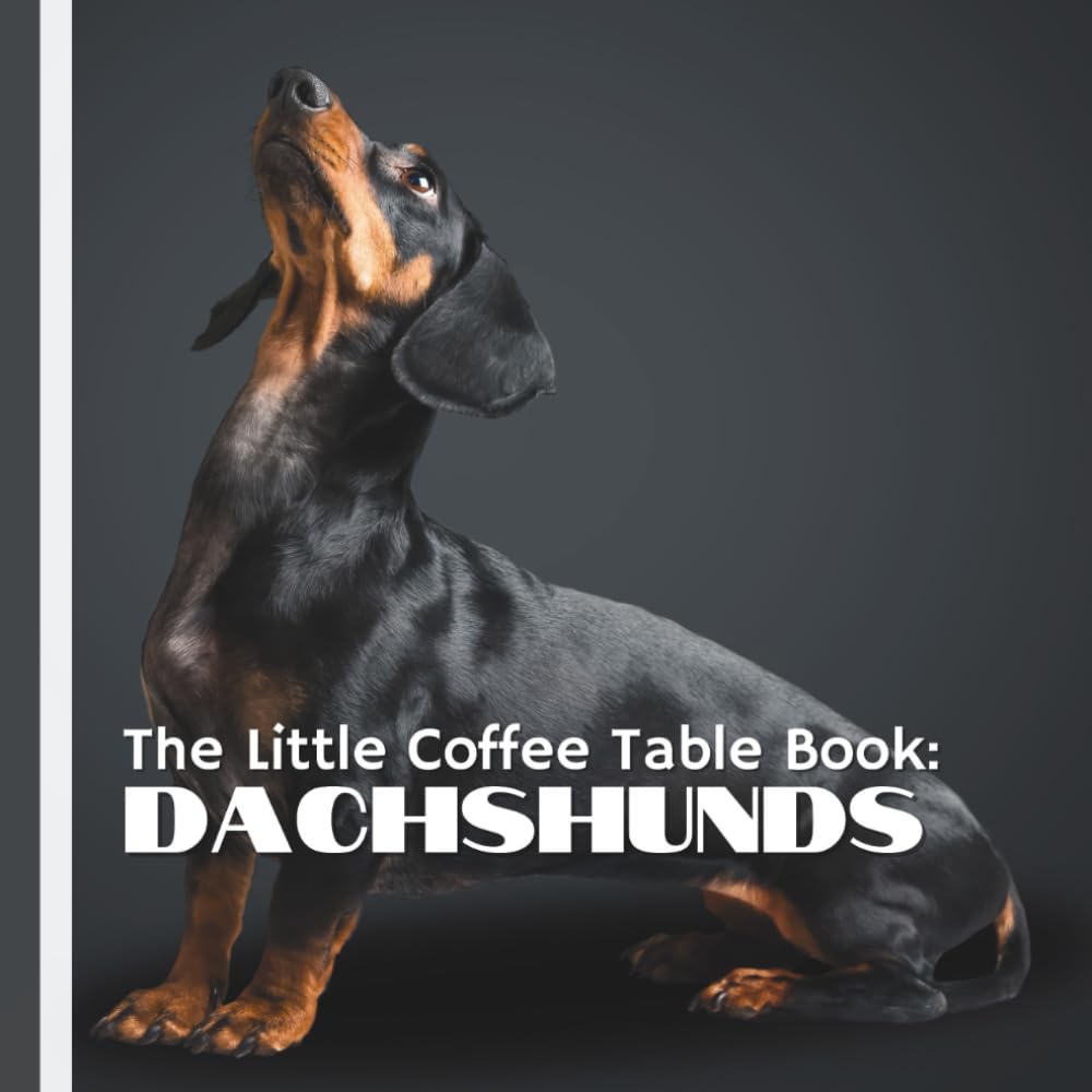 The Little Coffee Table Book: Dachshunds: 75 quirky, fun, and heartwarming facts, plus stunning full-page photos, this book dives into the lovable world of Dachshunds.