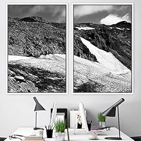 signwin 2 Piece Framed Canvas Wall Art Monochromatic...
