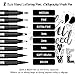dainayw Calligraphy Brush Pen, Hand Lettering Pens, 8 Size Black Markers Set for Artist Sketch, Technical, Writing, Art Drawing