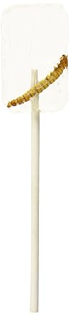 Hotlix Tequilaworm ، حلوى حلوى مصاصة حزمة من 36