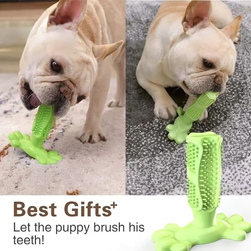 Image of Chew Toy for Dog Toothbrush Stick Dog Toys for Aggressive Chewers Interactive Toys Treats Tough Toy to Keep Them Busy Chew for Small Dogs (Green, M)