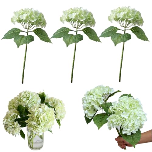 Nyutcwe Flores de Hortensia de Forma Faux Realista, 3pcs de 21 Pulgadas de hortensias secas, Toque Real Artificial para la Fiesta de Bodas decoración de la Mesa de Boda de Color Verde Claro Falso