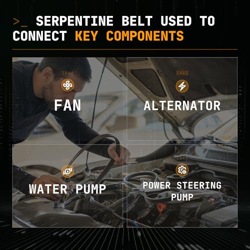 Image of 8PK3213 Serpentine Drive Belt with Dodge Ram, Sterling Truck