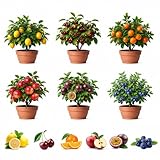 180 Mix Dwarf Bonsai Fruit Tree Seeds for Planting, 40 Lemon, 40 Orange, 40 Apple, 40 Passion Fruit, 10 Cherry, 10 Blueberry, Separately Packaged, Non-GMO Seeds for Indoor and Outdoor Home Garden
