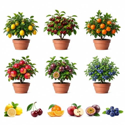 180 Mix Dwarf Bonsai Fruit Tree Seeds for Planting, 40 Lemon, 40 Orange, 40 Apple, 40 Passion Fruit, 10 Cherry, 10 Blueberry, Separately Packaged, Non-GMO Seeds for Indoor and Outdoor Home Garden