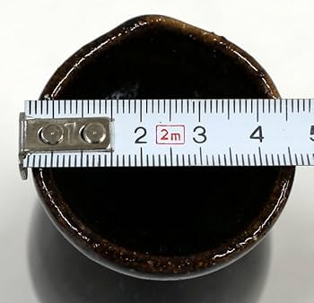 Amazon.co.jp: 44長期越中瀬戸焼 千寿窯吉野香岳 酒器セット