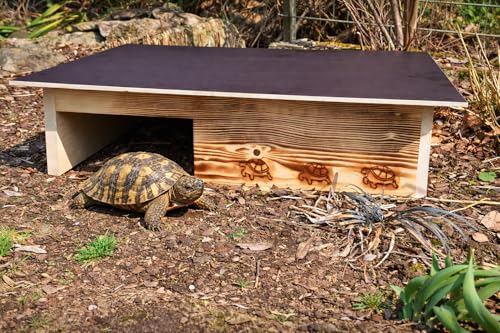 Woid Herz Casa para tortugas de madera maciza de 20 mm, resistente a la intemperie, con suelo y puerta, con ventilación ajustable, tortuga, tortuga, rueda libre (5, quemado)
