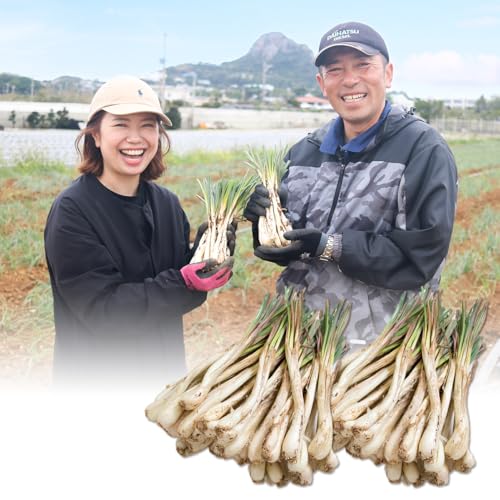 ���ꌧ�ɍ]���Y �`�l���o�^�P�̓�������傤2kg ���i�y�t���j ���K�}�[�W �ɍ]���_�Ƒg�� ���i�p���j�V���J ������