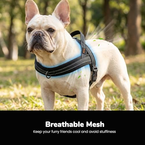 Image of Didog No Pull Dog Harness for Small Dogs, Breathable Mesh Padded, Black, S | Quick Fit, Easy On and Off, Lightweight, Reflective Vest Harness for Night Safty, Easy for Walking and Training, Chest 18-22 inch